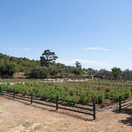 Leone Natural Ayvalı Exteriér fotografie